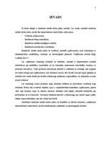 Referāts 'Reklāmas radošais darba plāns SIA "X" ražotajam Y produktam', 3.