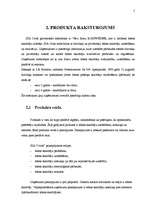 Referāts 'Reklāmas radošais darba plāns SIA "X" ražotajam Y produktam', 5.