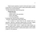 Referāts 'Reklāmas radošais darba plāns SIA "X" ražotajam Y produktam', 11.