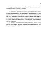 Referāts 'Reklāmas radošais darba plāns SIA "X" ražotajam Y produktam', 16.