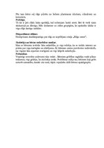 Prakses atskaite 'Integrētā mācību prakse pirmsskolā', 6.