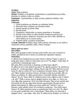 Prakses atskaite 'Integrētā mācību prakse pirmsskolā', 8.