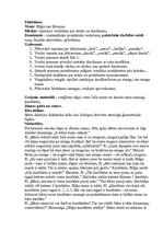 Prakses atskaite 'Integrētā mācību prakse pirmsskolā', 12.