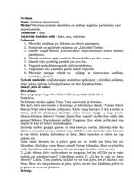 Prakses atskaite 'Integrētā mācību prakse pirmsskolā', 16.