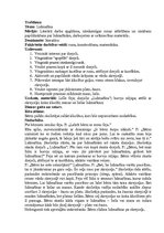 Prakses atskaite 'Integrētā mācību prakse pirmsskolā', 18.