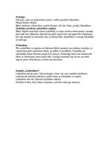 Prakses atskaite 'Integrētā mācību prakse pirmsskolā', 19.