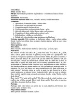 Prakses atskaite 'Integrētā mācību prakse pirmsskolā', 20.