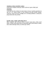 Prakses atskaite 'Integrētā mācību prakse pirmsskolā', 21.