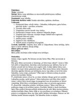 Prakses atskaite 'Integrētā mācību prakse pirmsskolā', 22.