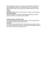 Prakses atskaite 'Integrētā mācību prakse pirmsskolā', 23.