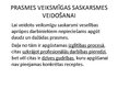 Prezentācija 'Nepieciešamās prasmes veiksmīgas saskarsmes veidošanai veselības aprūpē', 11.