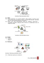 Paraugs 'Vides aizsardzības instrukcija', 11.