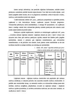 Referāts 'Pasūtījuma apstrādes un izpildes loģistika', 10.