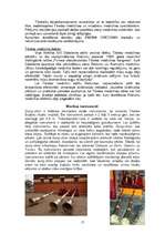 Konspekts 'Tibeta - vieta starp debesīm un zemi', 17.