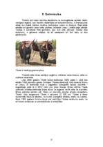 Konspekts 'Tibeta - vieta starp debesīm un zemi', 21.