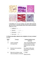 Paraugs 'Šūnu diferencēšanās. Audi.', 2.