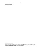 Referāts 'Lietvedības kārtības izveidošana', 21.