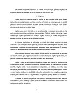 Referāts 'Jēdzienu "higiēna" un "veselība" savstarpējā ietekme uz cilvēka veselību', 4.