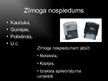 Prezentācija 'Teksta zonas un paraksta zonas rekvizītu grupas un to izvietojums dokumentos', 10.