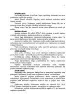 Referāts 'SIA "Alu stils" motivācijas sistēmas efektivitātes novērtēšana', 13.