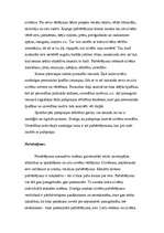 Konspekts 'Pašapziņa', 2.