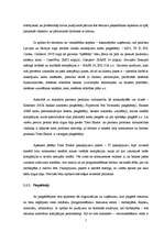 Referāts 'Tirgus izpēte', 5.