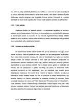 Referāts 'Tirgus izpēte', 8.