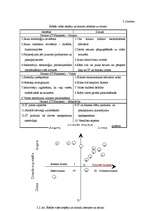 Referāts 'Tirgus izpēte', 12.