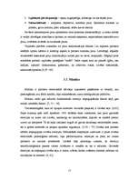 Referāts 'Neverbālās komunikācijas līdzekļu izmantošana audzēkņu informatīvās un emocionāl', 15.