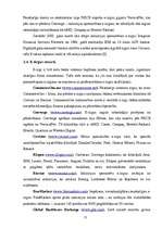 Referāts 'Uzņēmējdarbība interneta tehnoloģiju jomā un tās attīstības perspektīvas', 15.