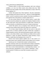 Referāts 'Uzņēmējdarbība interneta tehnoloģiju jomā un tās attīstības perspektīvas', 21.