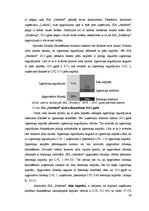 Referāts 'Pašražoto krājumu uzskaite SIA "Nordtorf"', 28.