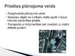 Prezentācija 'Limbaži', 5.