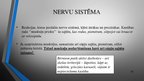 Prezentācija 'Fizisko aktivitāšu ietekme uz organismu', 15.