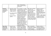 Prakses atskaite 'Aktīvā mācību un audzināšanas prakse pirmsskolā', 24.