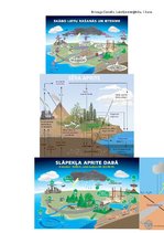 Konspekts 'Konspekts par vides ekoloģijas terminiem un vielu aprites cikliem', 1.