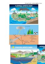 Konspekts 'Konspekts par vides ekoloģijas terminiem un vielu aprites cikliem', 2.
