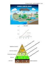 Konspekts 'Konspekts par vides ekoloģijas terminiem un vielu aprites cikliem', 4.