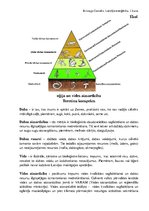 Konspekts 'Konspekts par vides ekoloģijas terminiem un vielu aprites cikliem', 5.
