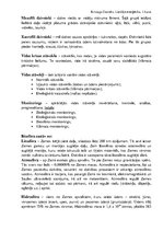 Konspekts 'Konspekts par vides ekoloģijas terminiem un vielu aprites cikliem', 11.