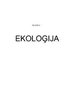 Referāts 'Ekoloģija', 1.