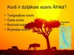 Prezentācija 'Tests "Āfrika"', 8.