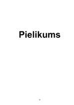 Referāts 'Demogrāfiskā situācija Latvijā', 20.