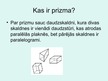 Prezentācija 'Prizmas jēdziens sadzīvē', 2.