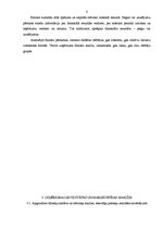 Prakses atskaite 'Prakses atskaite AS "Kurzeme"', 7.