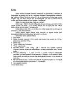 Referāts 'Kurzeme', 7.