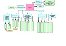 Referāts 'Vadības projekts, sanatorija "Health & Beauty"', 12.