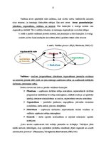 Diplomdarbs 'SIA "Birzes LS" saimnieciskās darbības analīze', 15.