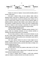 Diplomdarbs 'SIA "Birzes LS" saimnieciskās darbības analīze', 17.