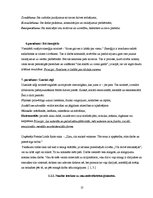 Referāts 'Ienākuma līmeņa ietekme uz cilvēku attieksmi pret naudu', 13.